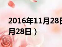 2016年11月28日农历是哪一天（2016年11月28日）