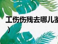 工伤伤残去哪儿鉴定（工伤伤残鉴定在哪里做）