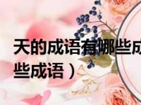 天的成语有哪些成语大全开头（天的成语有哪些成语）