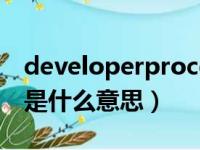 developerproceeds什么意思（developer是什么意思）