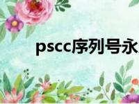 pscc序列号永久激活（pscc序列号）