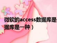 微软的access数据库是一种_______数据库（微软的access数据库是一种）