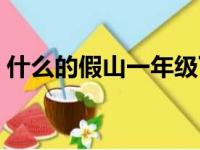 什么的假山一年级下册（什么的假山一年级）