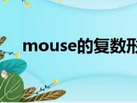 mouse的复数形式（knife的复数形式）