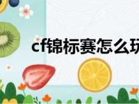 cf锦标赛怎么玩的（cf锦标赛怎么玩）