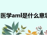 医学aml是什么意思啊（am医学是什么意思）