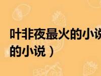 叶非夜最火的小说致我最爱的你（叶非夜最火的小说）