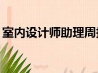 室内设计师助理周报40篇（室内设计师助理）