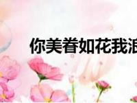 你美眷如花我浪迹天涯（我浪迹天涯）