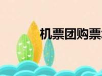 机票团购票怎么买（机票团购）