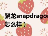 骁龙snapdragon处理器（骁龙snapdragon怎么样）