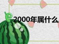 2000年属什么属性（2000年属什么）