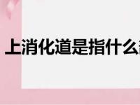 上消化道是指什么部位以上（上消化道是指）