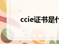 ccie证书是什么意思（ccie证书）