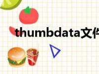 thumbdata文件能删吗（thumbdata）