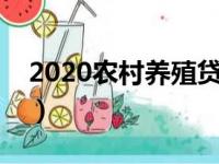 2020农村养殖贷款政策（农村养殖贷款政策）