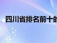 四川省排名前十的城市（四川第二大城市）