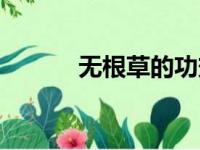 无根草的功效与作用（无根草）