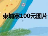 柬埔寨100元图片大全（柬埔寨100元图片）