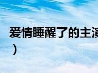 爱情睡醒了的主演是谁（爱情睡醒了演员名单）