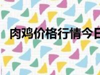 肉鸡价格行情今日报价表（肉鸡价格行情）