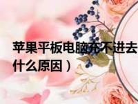 苹果平板电脑充不进去电怎么办（苹果平板电脑充不进电是什么原因）