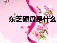 东芝硬盘是什么硬盘（东芝硬盘怎么样）