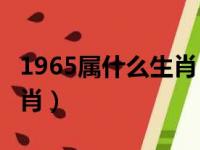 1965属什么生肖 今年多大了（65岁属什么生肖）