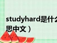 studyhard是什么意思中文（study是什么意思中文）