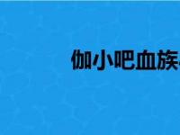 伽小吧血族小人类伽（伽小吧）