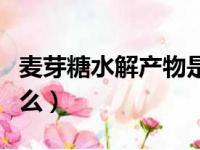 麦芽糖水解产物是什么（纤维素水解产物是什么）