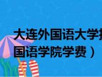 大连外国语大学招生简章2020学费（大连外国语学院学费）