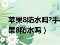 苹果8防水吗?手机掉水里30分钟会坏吗（苹果8防水吗）