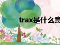 trax是什么意思（txl是什么意思）