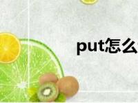 put怎么读（pet怎么读）