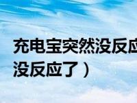 充电宝突然没反应了灯也不亮了（充电宝突然没反应了）