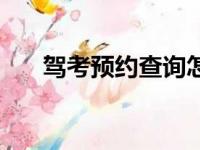 驾考预约查询怎么查（驾考预约查询）