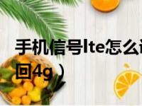 手机信号lte怎么调成4g（手机显示lte怎么改回4g）