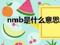 nmb是什么意思缩写（nmb是什么意思）