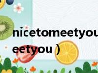 nicetomeetyou歌词的中文翻译（nicetomeetyou）