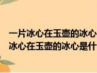 一片冰心在玉壶的冰心是什么意思诗句的意思是什么（一片冰心在玉壶的冰心是什么意思）