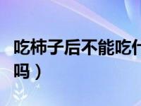 吃柿子后不能吃什么食物（晚上吃柿子会长胖吗）