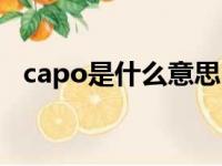 capo是什么意思中文（capo是什么意思）