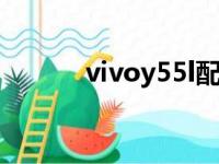 vivoy55l配置（vivoy55配置）