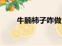 牛腩柿子咋做（牛腩柿子汤的做法）