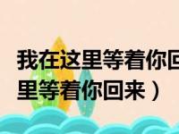 我在这里等着你回来看那桃花开歌词（我在这里等着你回来）