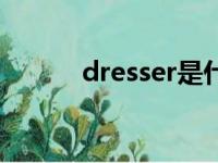 dresser是什么意思啊（dress）