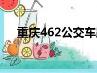 重庆462公交车路线（462公交车路线）