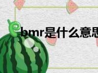 bmr是什么意思啊（bmr是什么意思）