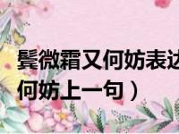 鬓微霜又何妨表达了词人什么心境（鬓微霜又何妨上一句）